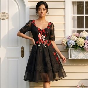 Chotronette Romainian Formal Handmade Tule Embroidered Gown: Size 2/4. See Photo